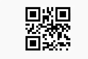 What Are QR Codes