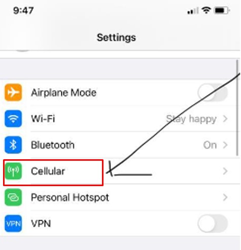 Click on cellular data