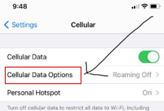 Click on the cellular data option