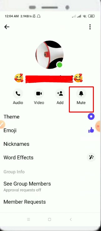 What Is Mute In Messenger