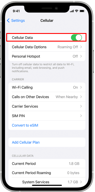 tap on the “Cellular Data” option